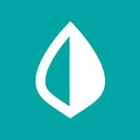 Mint app